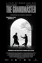 فيلم The Grandmaster 2013 مترجم